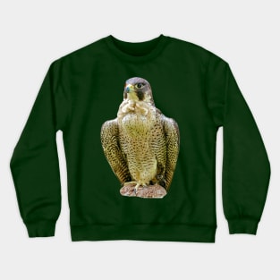 Peregrine falcon Crewneck Sweatshirt